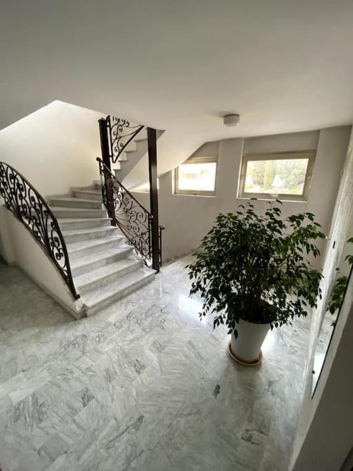 Logement Cosy, Situe Entre Ciel Et Mer Vence Exterior photo